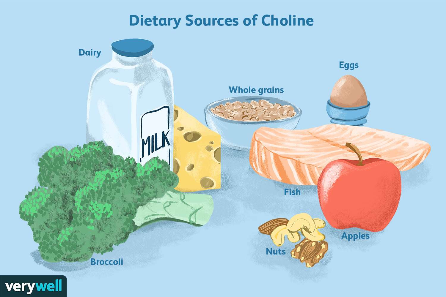 10 Foods High In Choline, Health Benefits, & Deficiency Effects