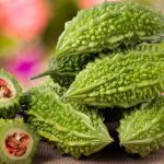 9 Benefits Of Eating Bitter Gourd During Pregnancy