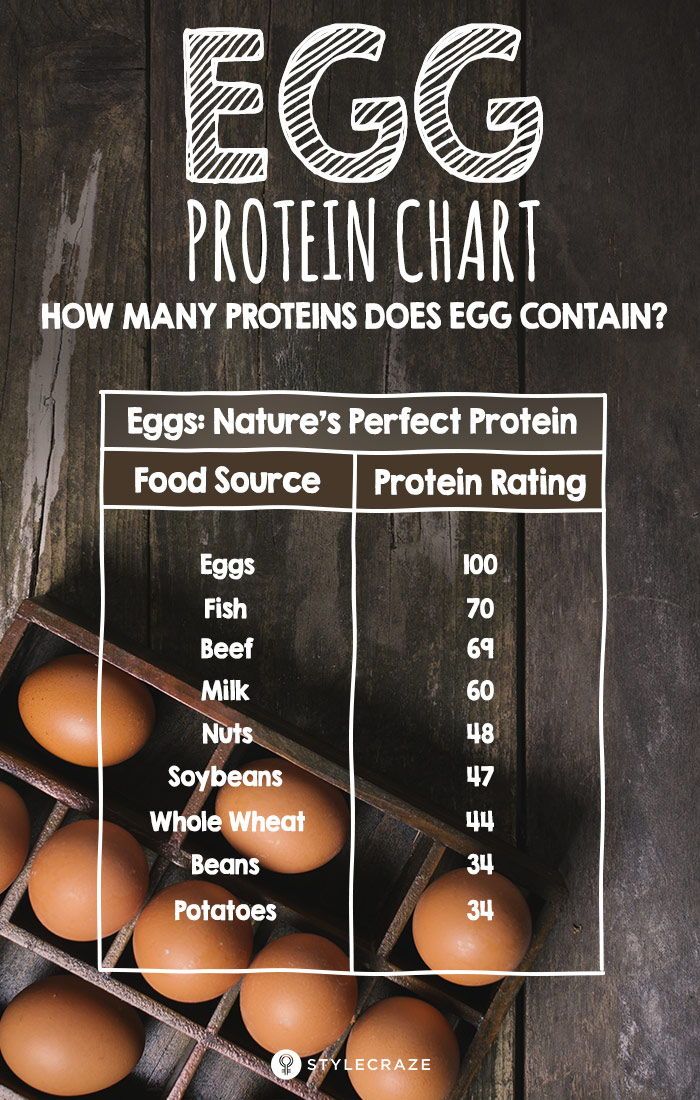 Egg Protein Chart – How Many Proteins Does Egg Contain?