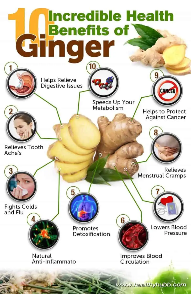 Health Benefits Ginger Benefits